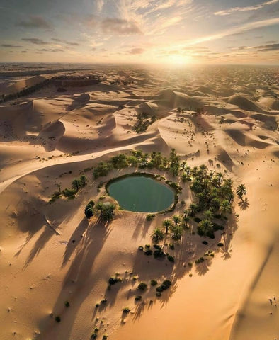 Droit des étrangers code entrée et du séjour des étrangers cesada et droit international